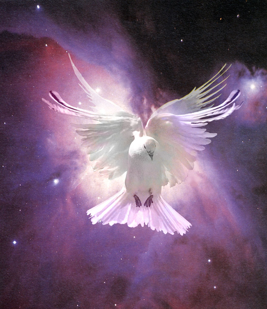 To Be - OM. Oil Painting 2001. Artist Christian Staebler. Pigeon in the Orion. With his supersonic wings, he went where no dove had gone before. This painting is a mirror to your soul; see to be, and chant OM.