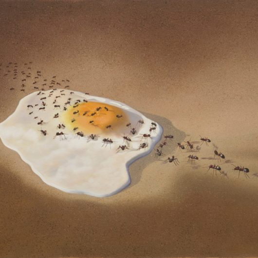 Fried Egg with Ants. Ants Going After a Fried Egg in the Desert.