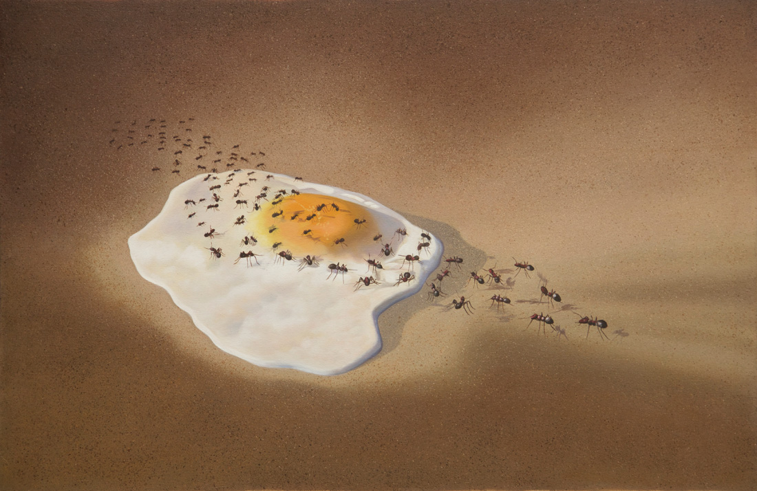 fried egg with ants, egg, ants, fried, desert, egg yolk, desert landscape