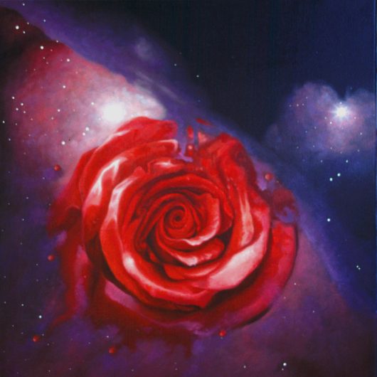Red Rose in the Orion. I travel through time to you